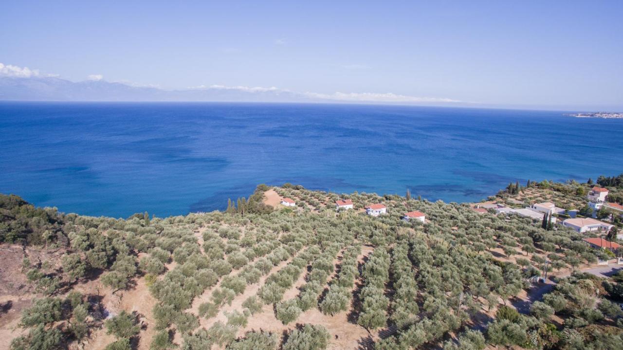 Villa Κτήμα Παπαβασιλόπουλος 2 - Koróni Esterno foto